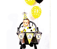Bumble Bee Day Birthday Party Printable High Chair Banner